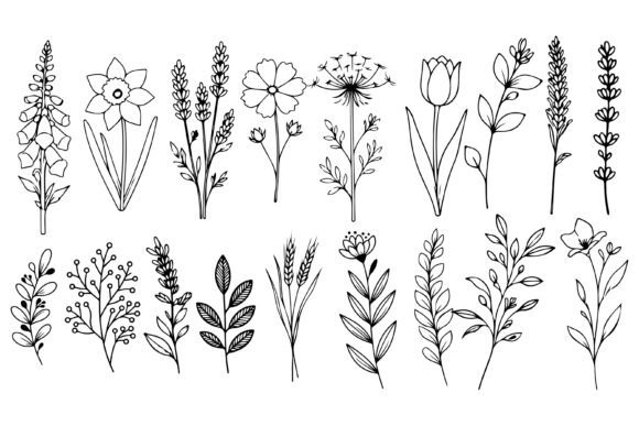 Download Set of Herbs and Wild Flowers Vector Art - Vector art Collection